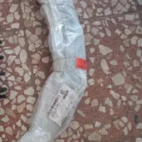 زه دور گلگیر ساینا