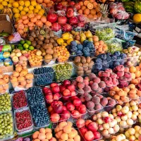 مجوز بساطی میوه مخوم