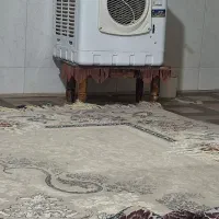 کولر آبی نو
