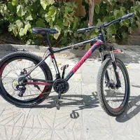 دوچرخه سالم ۲۶