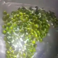 گارنت باغ برج کرمان