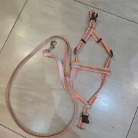 قلاده شب رنگ نو