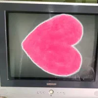 تلوزیون سالم