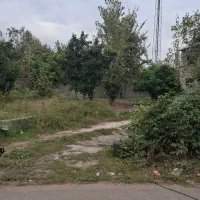 زمین-نقلی