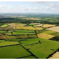 وکیل پایه یک دادگستری، اراضی و املاک