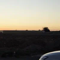 اجاره زمین مناسب انبارداری، کارگاهی، دامی، کشاورزی|اجارهٔ دفتر صنعتی، کشاورزی، تجاری|شبستر, |دیوار