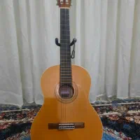 گیتار ADOR|گیتار، بیس، امپلیفایر|قم, شهرک مهدیه (مدرس)|دیوار