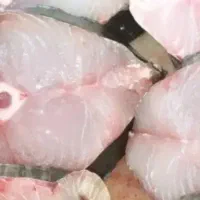 ماهی تازه از بوشهر|ماهی|شیراز, شهرک امیر کبیر|دیوار