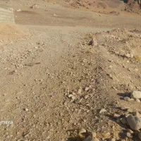 زمین برای استفاده دامداری و یا درختکاری|فروش زمین و ملک کلنگی|آبدانان, |دیوار