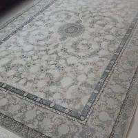 فرش ۱۲۰۰ شانه|فرش|گرگان, |دیوار