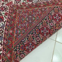 فرش دست باف افشار|فرش|همدان, |دیوار