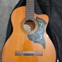 گیتار مناسب مبتدی تا حرفه