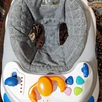 روروئک