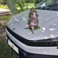 اجاره ماشین عروس و دربستی|خودرو اجاره‌ای|قم, باجک دو|دیوار