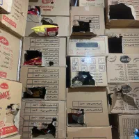 مغازه پردیس