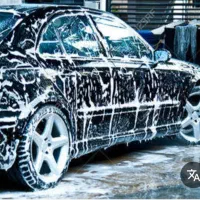 نیروی کارواش