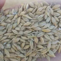 جو خارجی فقط و فقط تنی47