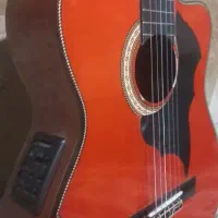 گیتار پیکاب دار