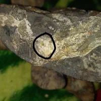 سنگ طلا و نقره