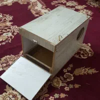 لانه عروس هلندی