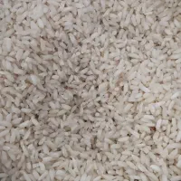 فروش برنج چمپا سادات حسینی