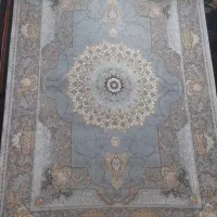 تعدادی فرش تمام نخ درجه یک|فرش|دزفول, |دیوار