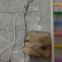 وسایل پرنده کاملا سالم|لوازم جانبی حیوانات|بوکان, |دیوار