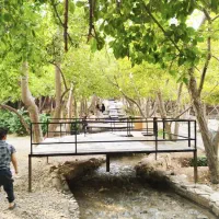 تور دورهمی باغ سرسبزسپیدان جمعه 31 مرداد|تور و چارتر|شیراز, گلدشت معالی‌آباد|دیوار