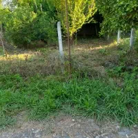 فرصتی طلایی برای سرمایه گذاری رشد قیمت تضمینی