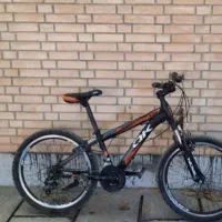 دوچرخه 24حرفه ای