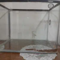 آکواریوم|ماهی|اصفهان, گرکان|دیوار