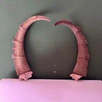 شاخ بز کوهی