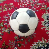 توپ چمن و قفس