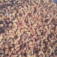 یه تن کنگه خلال برای دامداران|لوازم جانبی حیوانات|شبانکاره, |دیوار