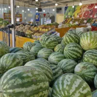 کارگر ساده میوه فروشی