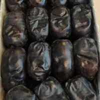 پخش خرمای لوکس ممتاز فارس رطب