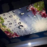 مجری تخصصی سقف های کشسان با ۱۲ سال گارانتی مکتوب|خدمات پیشه و مهارت|رشت, گلسار|دیوار