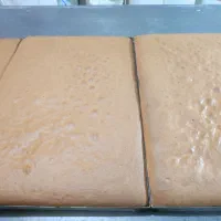 تولید کیک اسفنجی