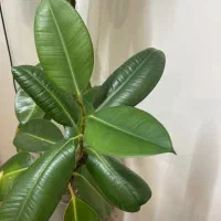 کار در مدرسه