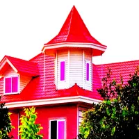 اجرای شیروانی ،(با شرایط بلند مدت ۱۴ ماهه)