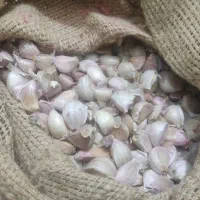 سیر اعلا و یک