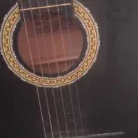 یک عدد گیتار المانی