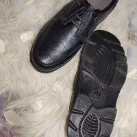 کفش مردانه|کیف، کفش، کمربند|ایذه, |دیوار