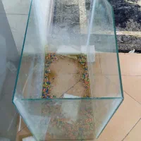آکواریوم ماهی