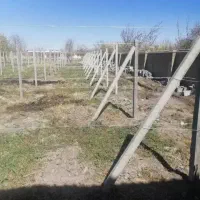 پایه بتنی برای انگور و فنس کشی