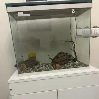 آکواریوم شرکتی فول تجهیزات