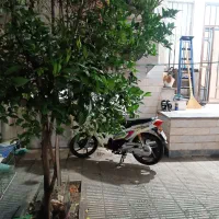 ویلایی-در-شهروند