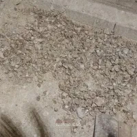 بار کبوتر یا کفتر|لوازم جانبی حیوانات|مشهد, عسگریه|دیوار