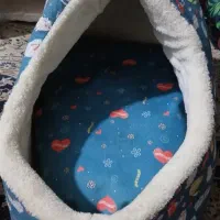 جای خواب سگ و گربه