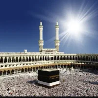 دو عدد فیش حج تمطع